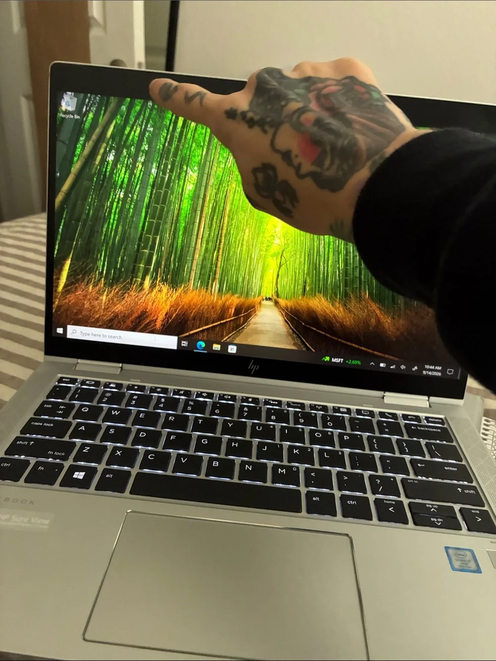 HP EliteBook Silver and Black Business Laptop